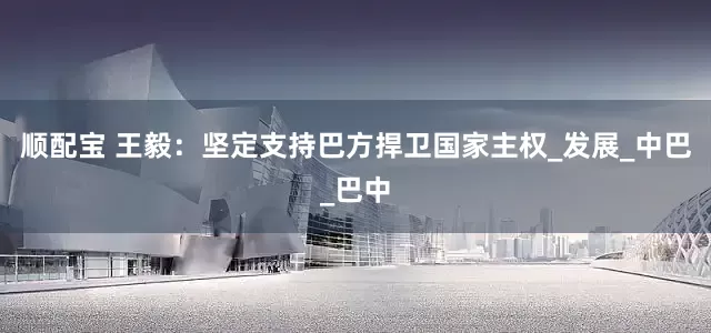 顺配宝 王毅：坚定支持巴方捍卫国家主权_发展_中巴_巴中