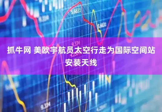 抓牛网 美欧宇航员太空行走为国际空间站安装天线