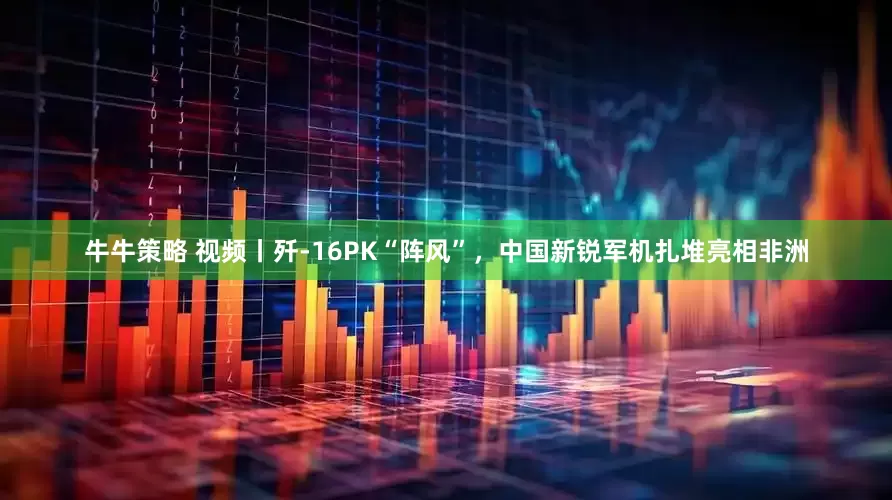 牛牛策略 视频丨歼-16PK“阵风”，中国新锐军机扎堆亮相非洲